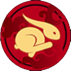 coin icon