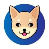 coin icon
