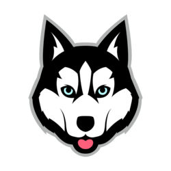 coin icon