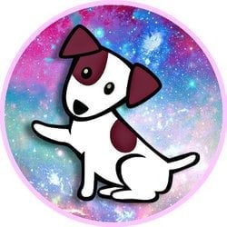 coin icon