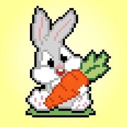 coin icon