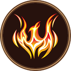 coin icon