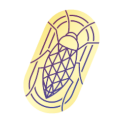 coin icon