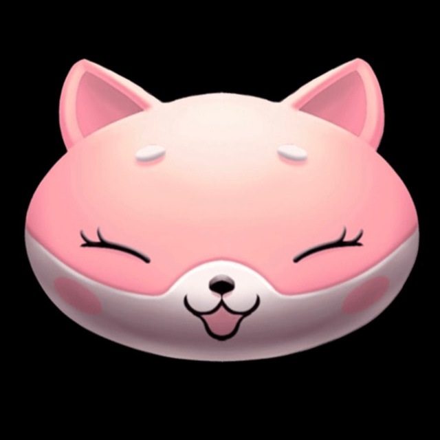 coin icon