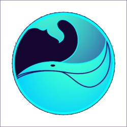 coin icon