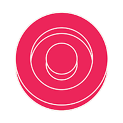 coin icon