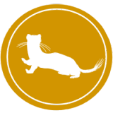 coin logo
