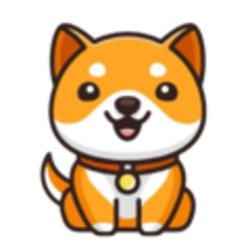 coin icon