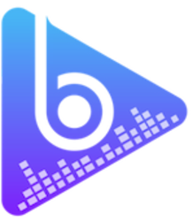 coin icon