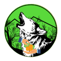 coin logo