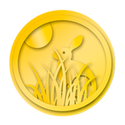 coin icon