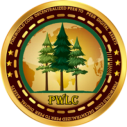 coin icon