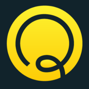 coin icon