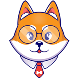 coin icon