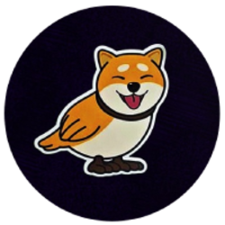 coin icon