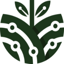 coin icon