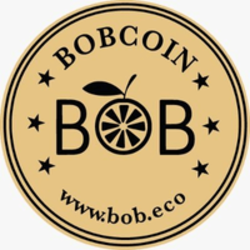 coin icon