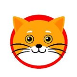 coin icon