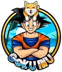 coin icon