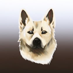 coin icon
