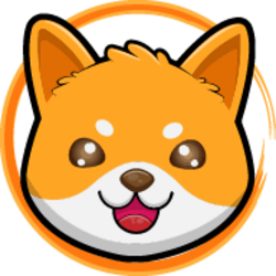 coin icon
