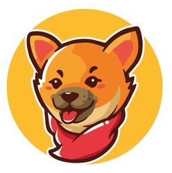 coin icon