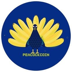 coin logo
