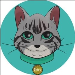 coin icon