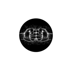 coin icon