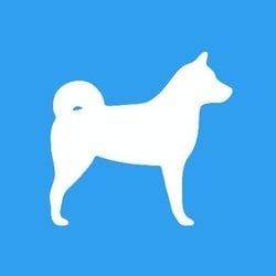 coin logo