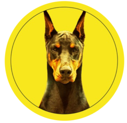 coin logo