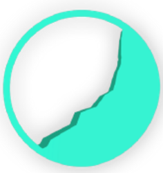 coin icon