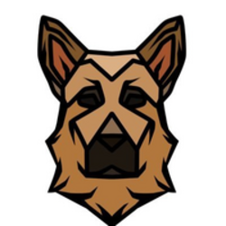 coin icon
