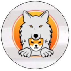 coin icon