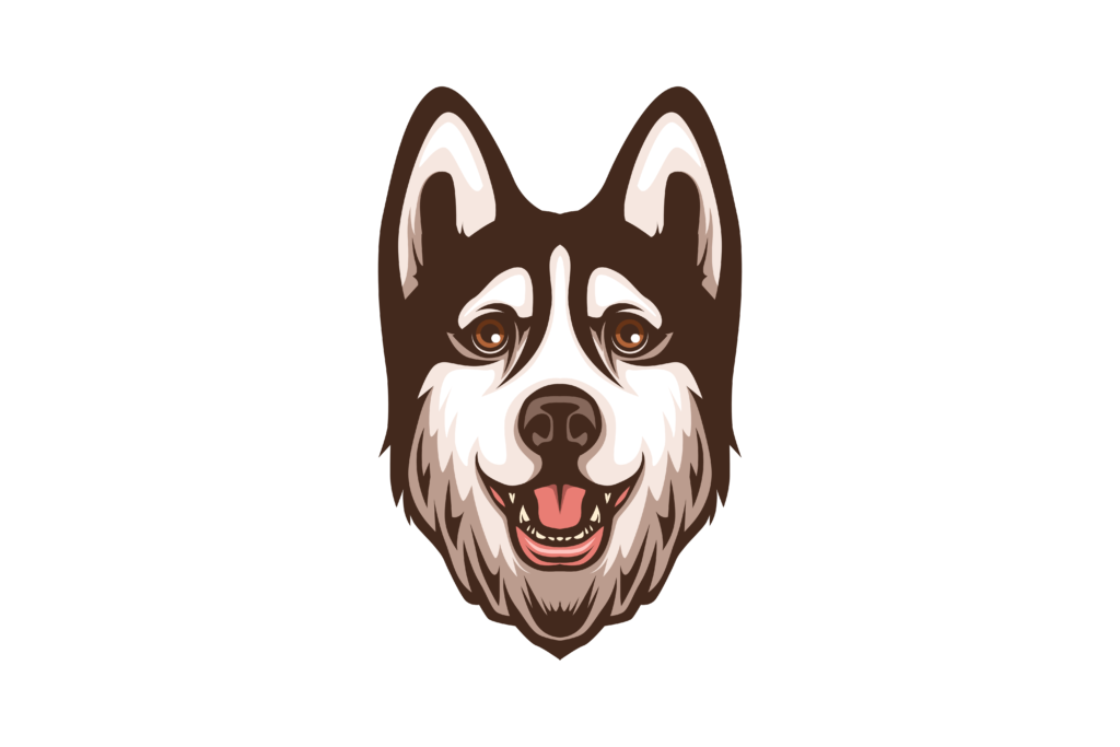 coin icon