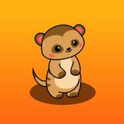 coin icon