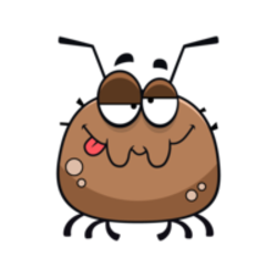 coin icon