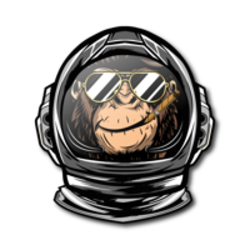 coin icon