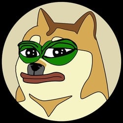 coin icon