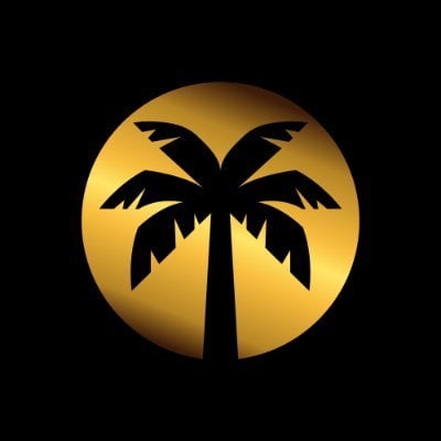 coin icon