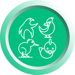 coin logo