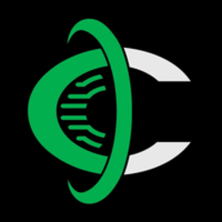 coin icon