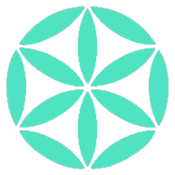 coin icon