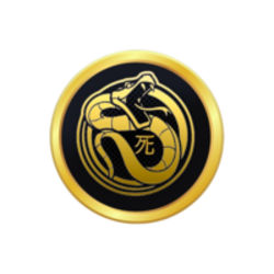 coin icon