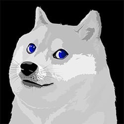 coin icon