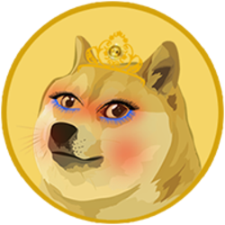 coin icon