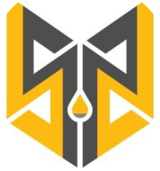 coin icon