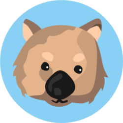 coin icon