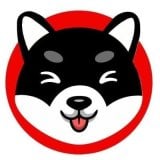 coin icon