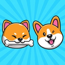 coin icon